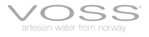 VOSS Logo Hi-Res White Background